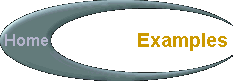  Examples 